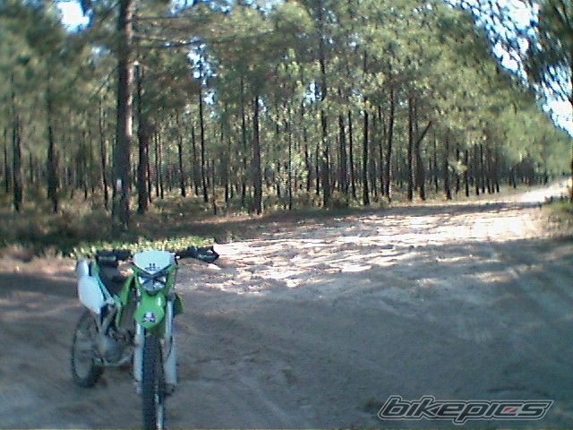2009 KAWASAKI KLX 250 | Picture 1855539 motorcycle photo