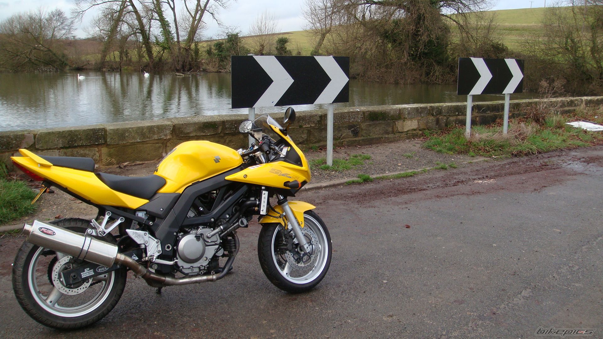 2005 SUZUKI SV 650S | Picture 1856315 motorcycle photo