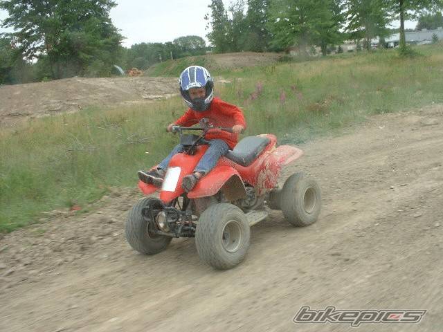 2001 POLARIS SCRAMBLER 50 | Picture 185648 motorcycle photo