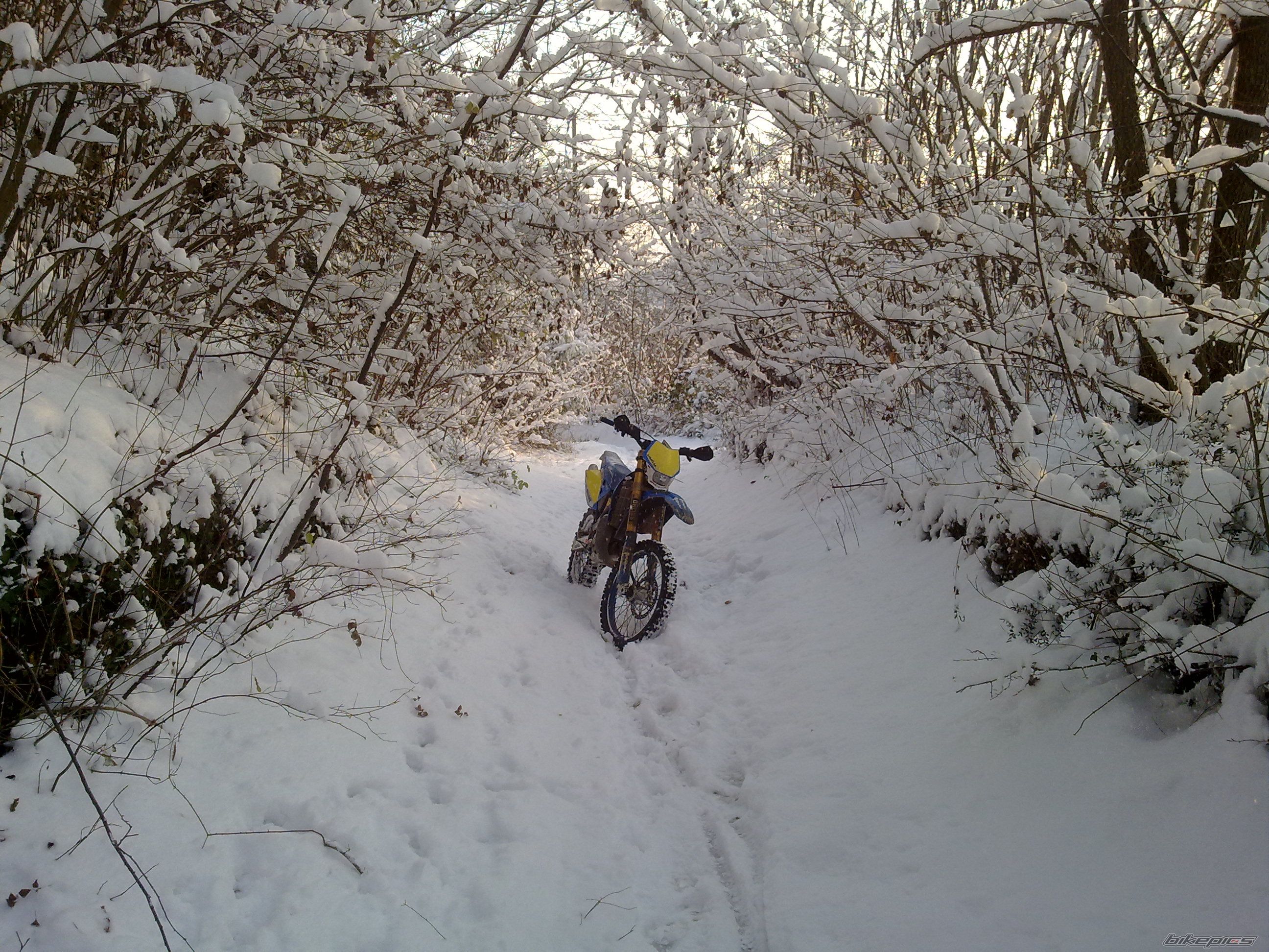 2005 TM TM125 ENDURO | Picture 1856879 motorcycle photo