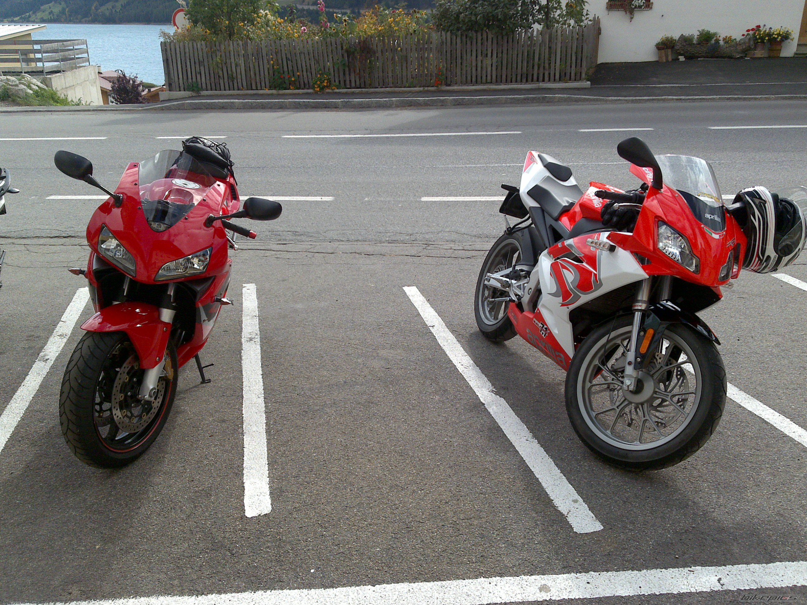 2010 APRILIA RS 50 | Picture 1856929 motorcycle photo