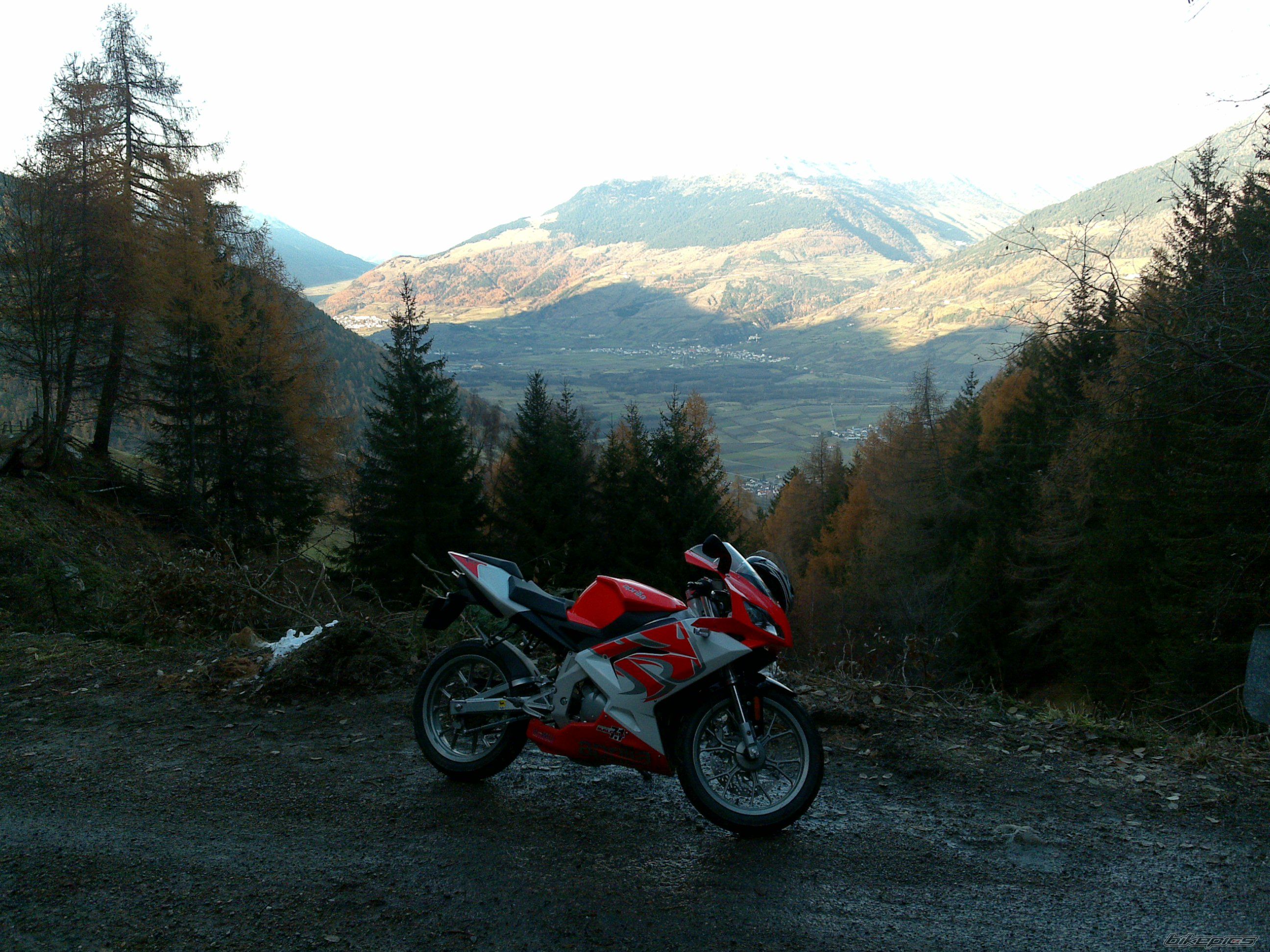 2010 APRILIA RS 50 | Picture 1856945 motorcycle photo