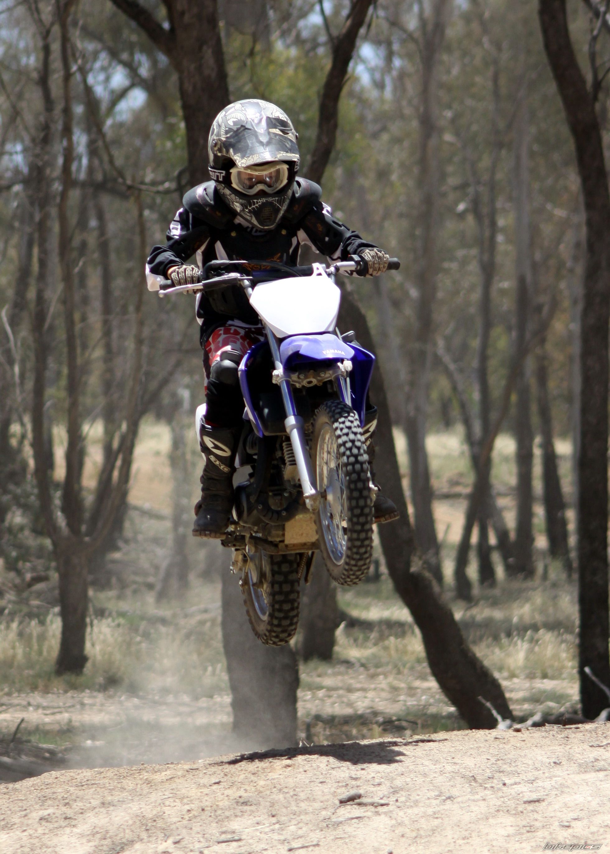 2008 YAMAHA TTR 90 | Picture 1857174 motorcycle photo
