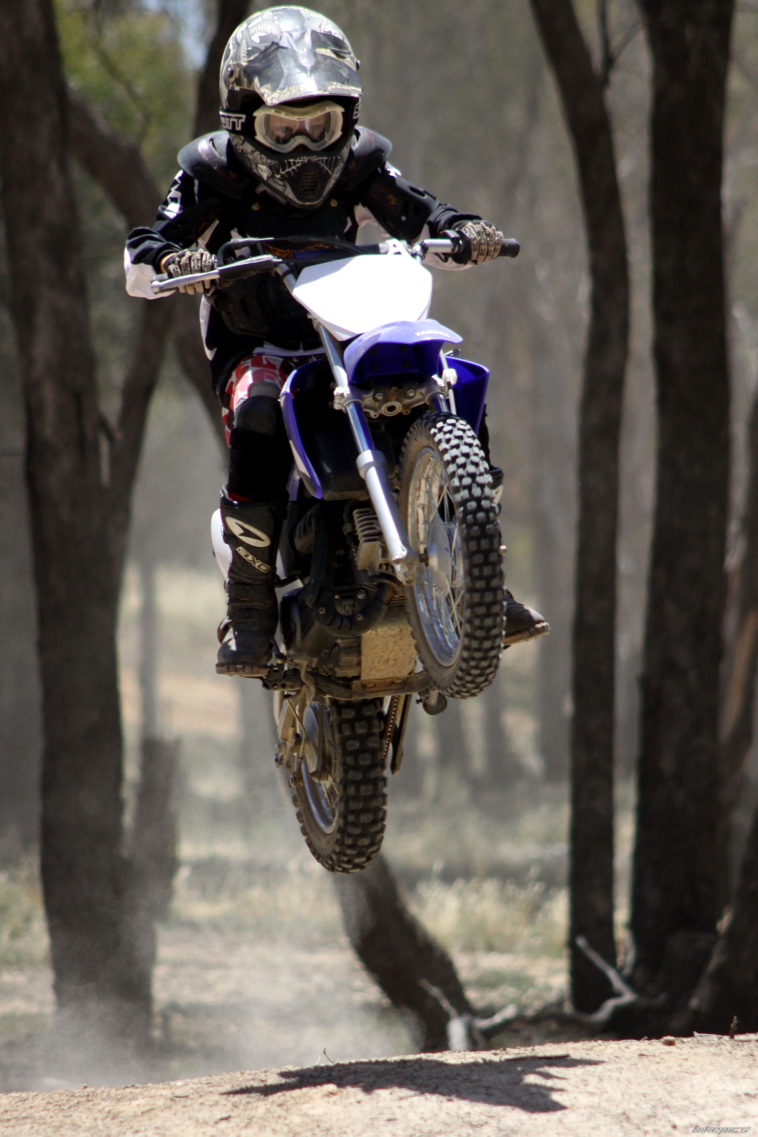 2008 YAMAHA TTR 90 | Picture 1857177 motorcycle photo