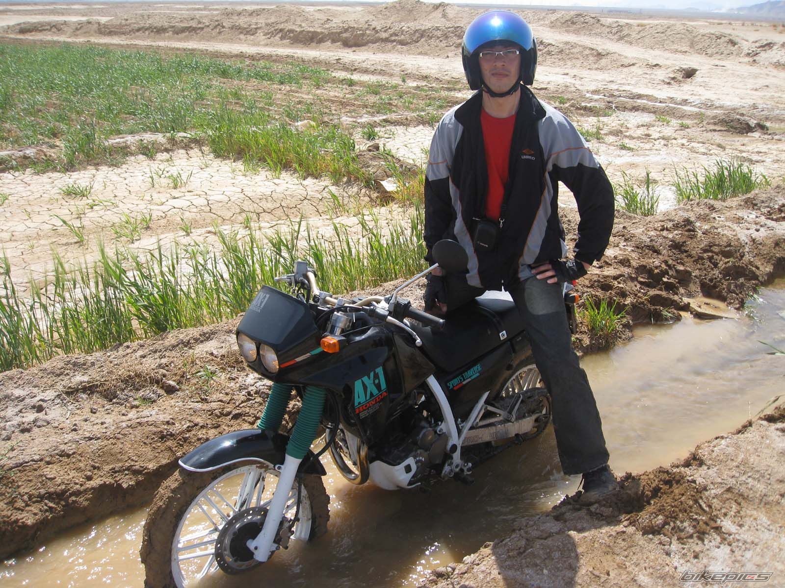 1999 HONDA AX 1 250 | Picture 1857184 motorcycle photo