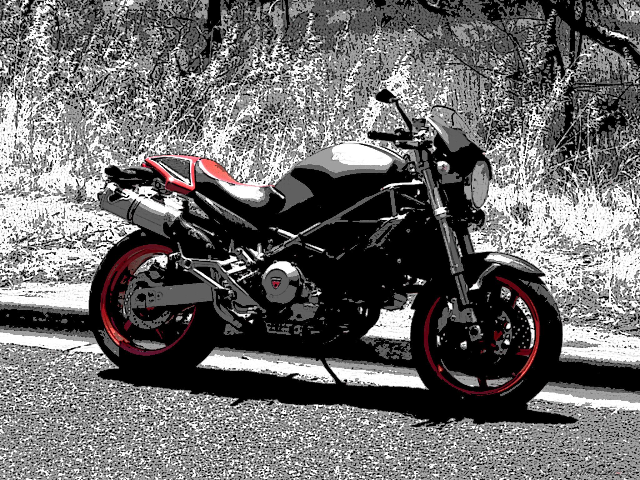 2002 DUCATI MONSTER S4 | Picture 1857374 motorcycle photo