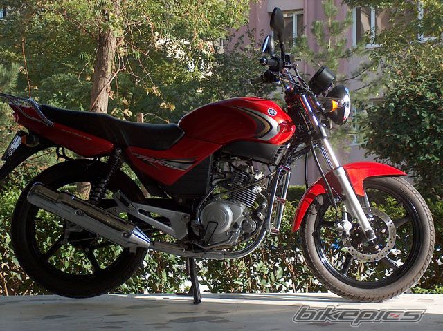 2009 YAMAHA YBR 125 | Picture 1857976 motorcycle photo