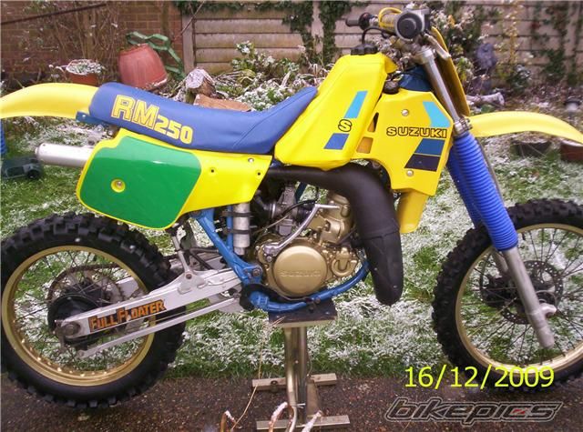 1985 SUZUKI RM 250 | Picture 1857981 motorcycle photo