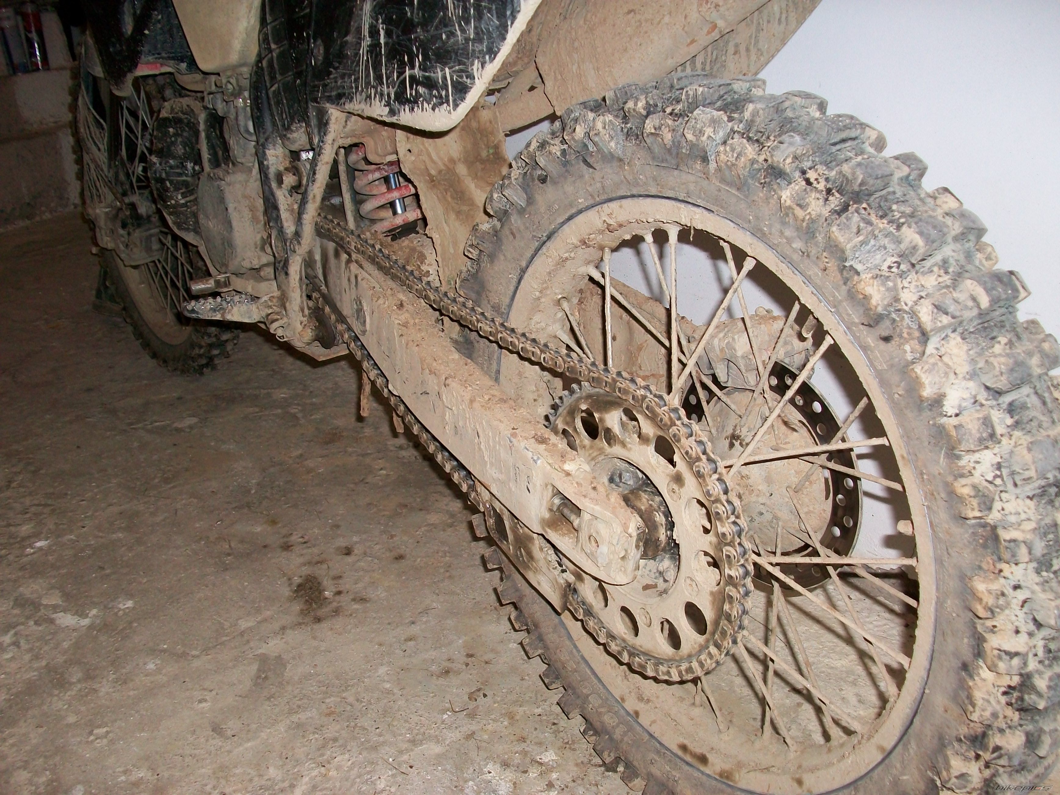 1995 HONDA CR 250 | Picture 1857999 motorcycle photo
