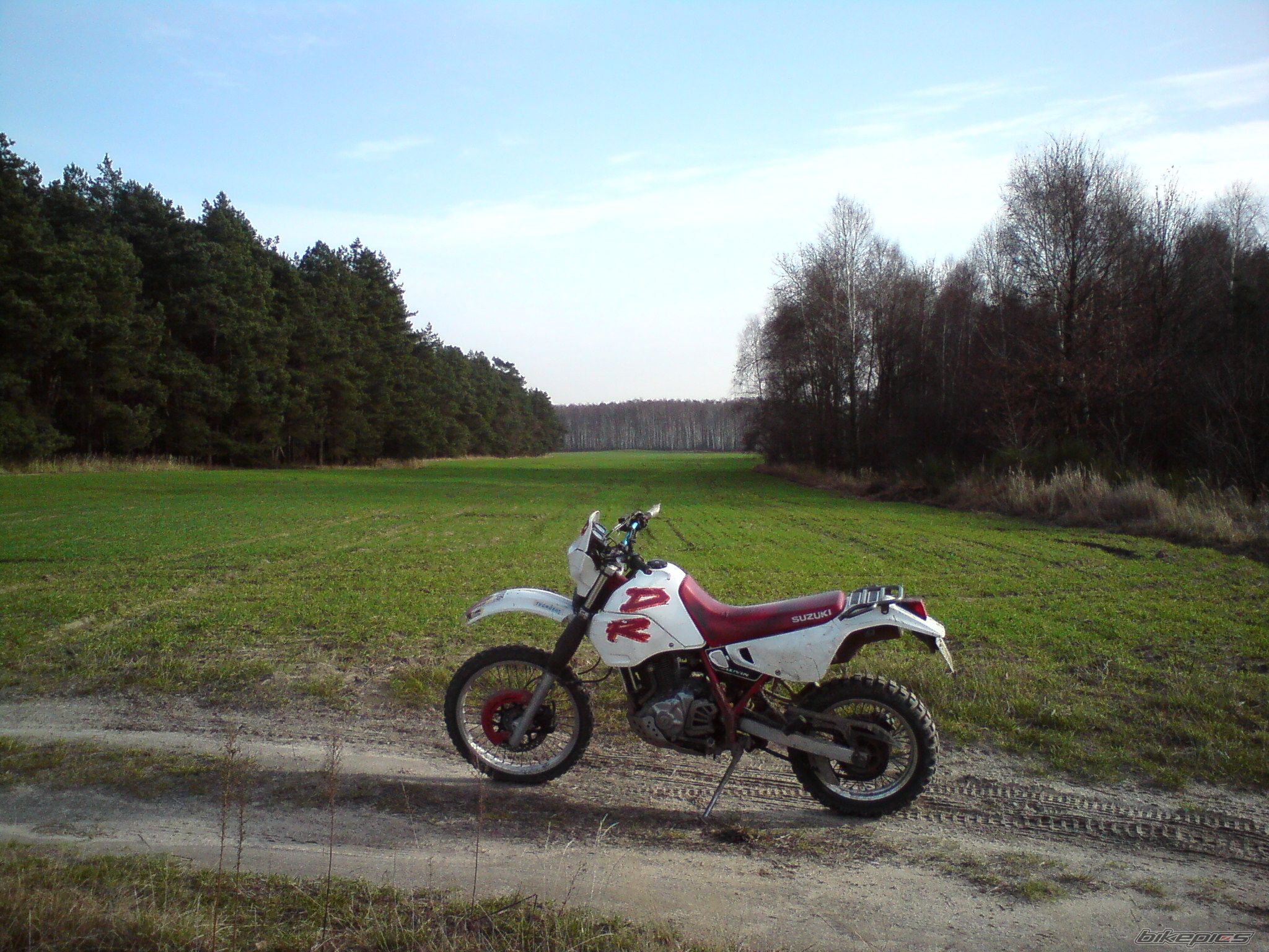 1993 SUZUKI DR 650 | Picture 1858165 motorcycle photo