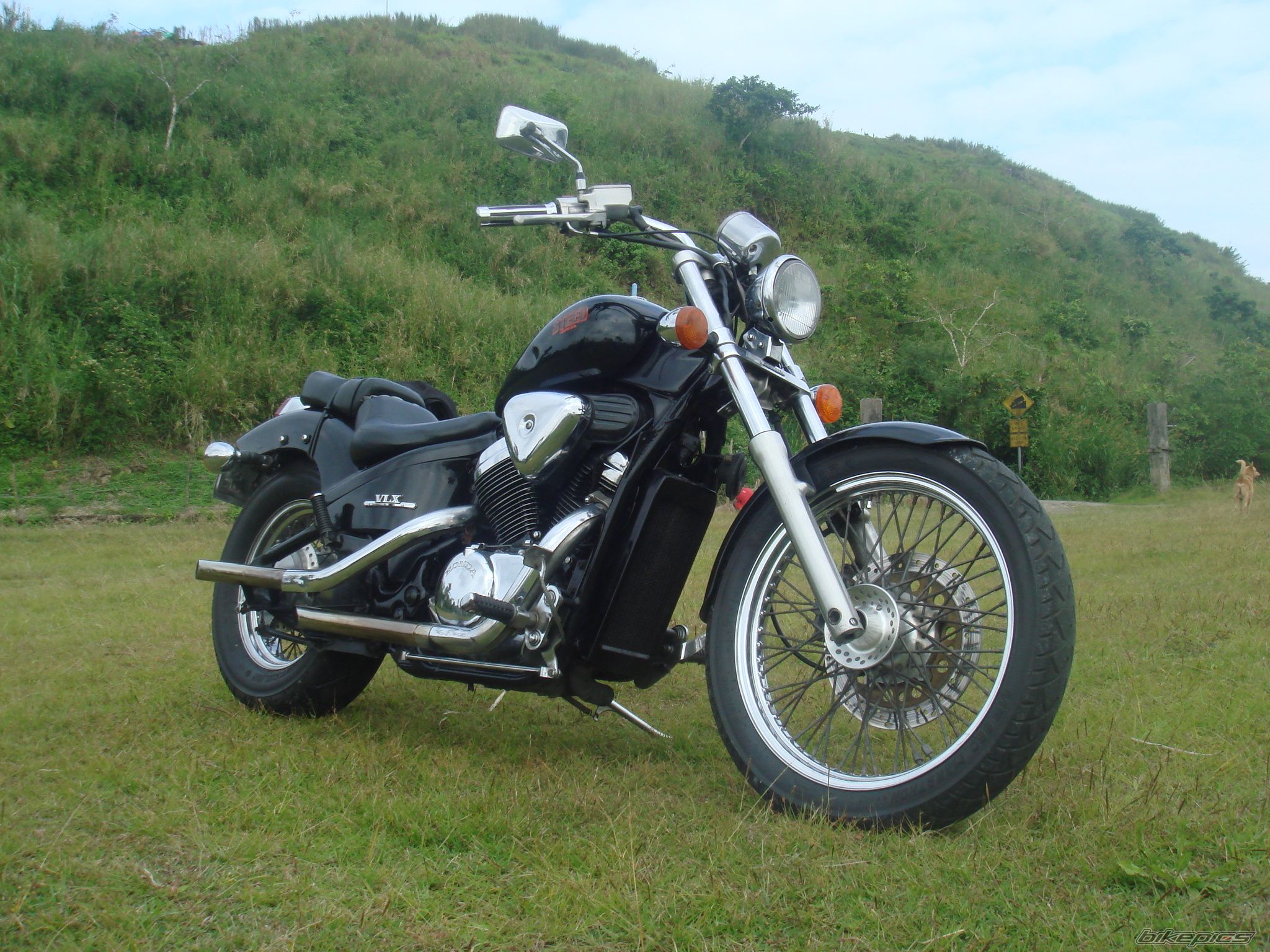 2004 HONDA STEED 400 | Picture 1859166 motorcycle photo