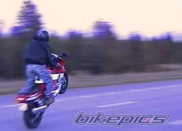 1994 HONDA CBR 600 | Picture 186 motorcycle photo
