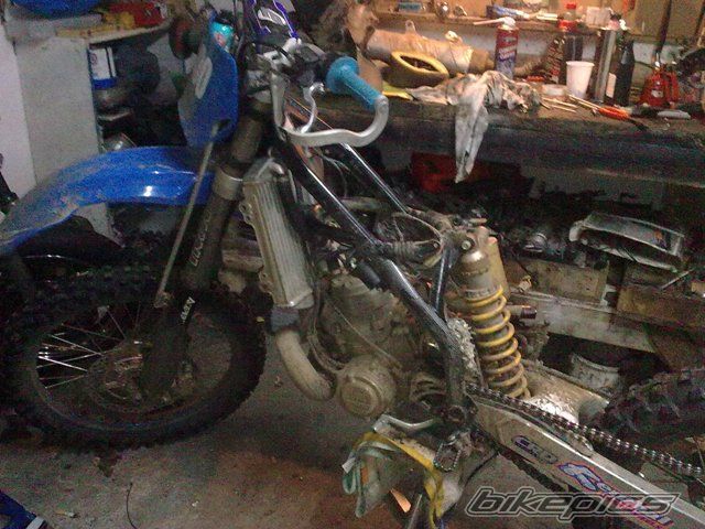 1999 TM TM 300E 2T ENDURO | Picture 1860069 motorcycle photo