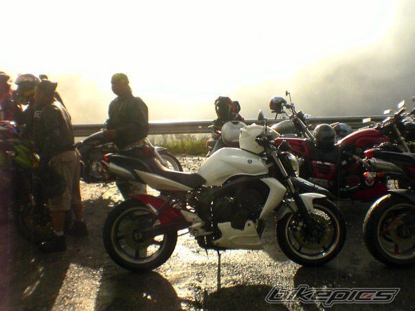2007 YAMAHA FZ6N | Picture 1860392 motorcycle photo