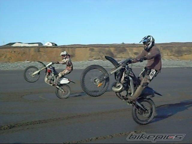 2001 HONDA CR 250 | Picture 1861012 motorcycle photo