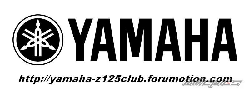 2010 YAMAHA Z 125 | Picture 1861620 motorcycle photo