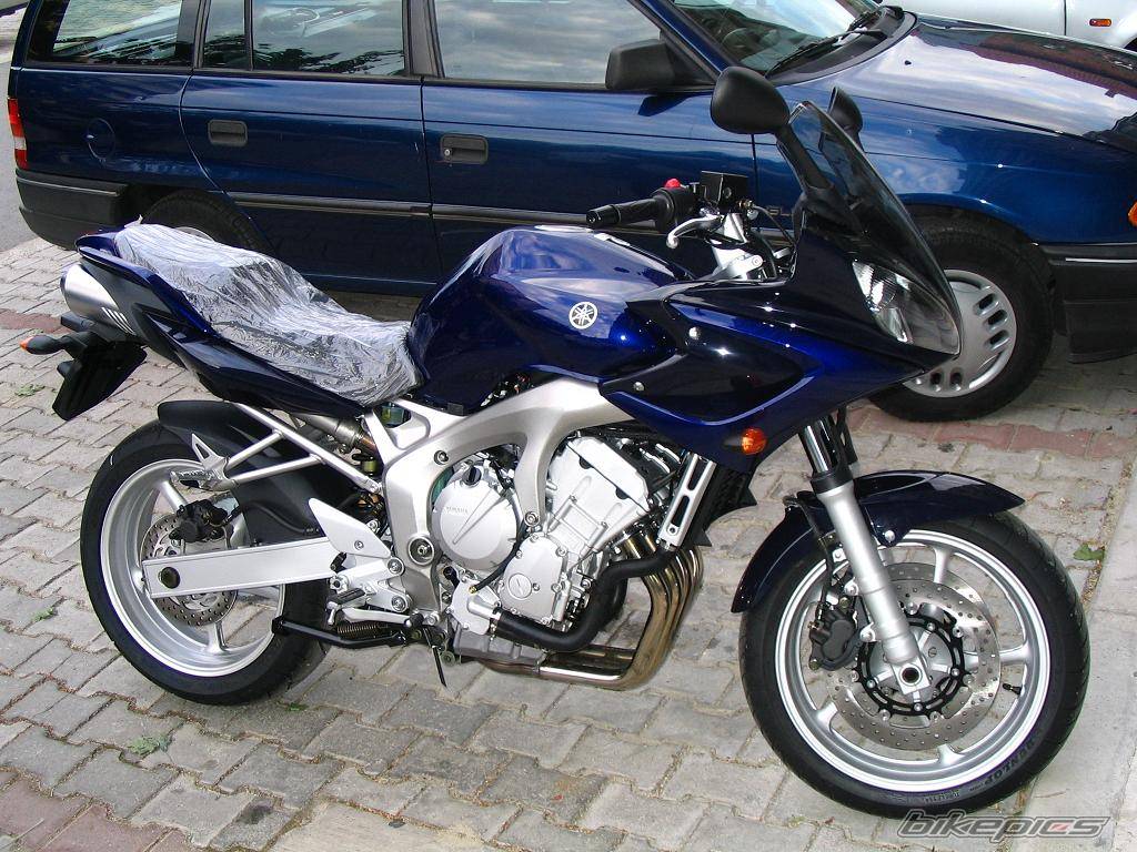 2004 YAMAHA FZ6 FAZER | Picture 186163 motorcycle photo