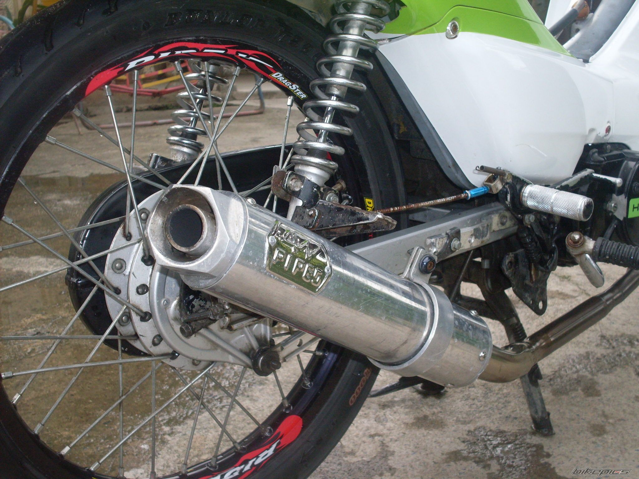 2010 HONDA WAVE ALPHA 100 | Picture 1861906 motorcycle photo