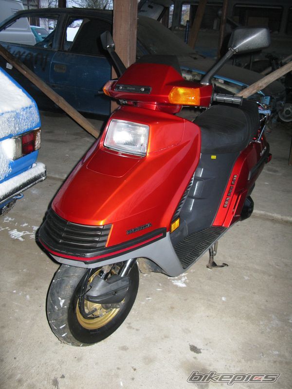 1987 HONDA ELITE | Picture 1861910 motorcycle photo