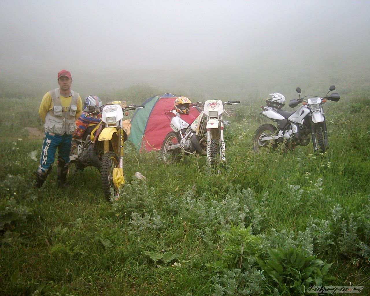2005 SUZUKI RM 250 Z | Picture 1862065 motorcycle photo