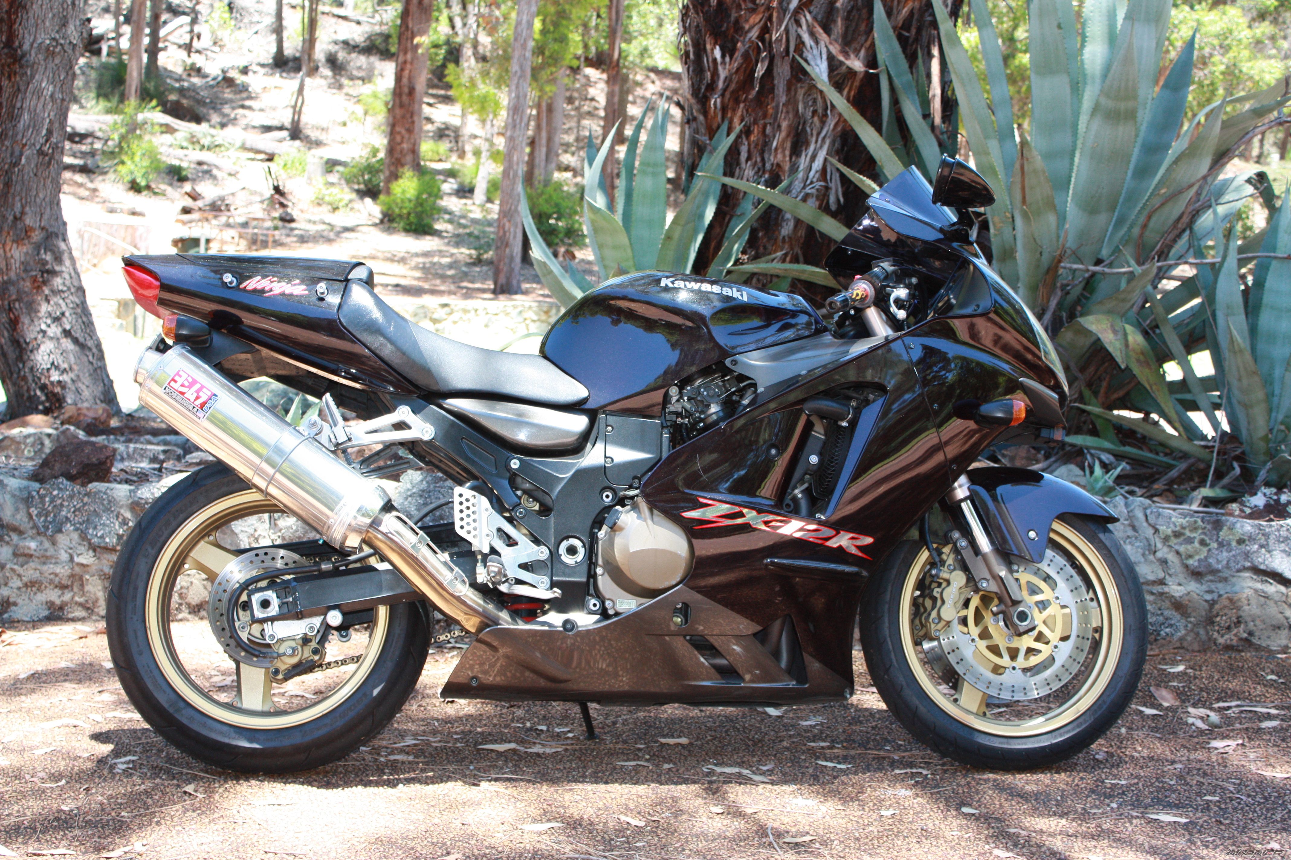 2003 KAWASAKI ZX 12R | Picture 1862404 motorcycle photo