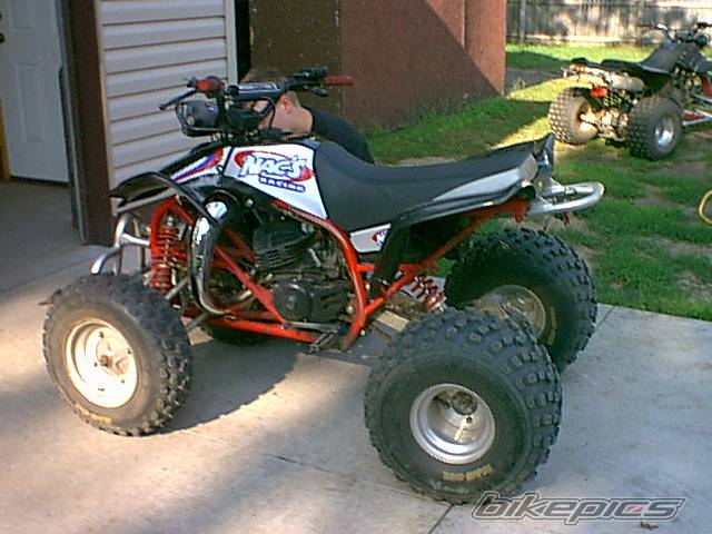1989 YAMAHA BLASTER | Picture 186269 motorcycle photo