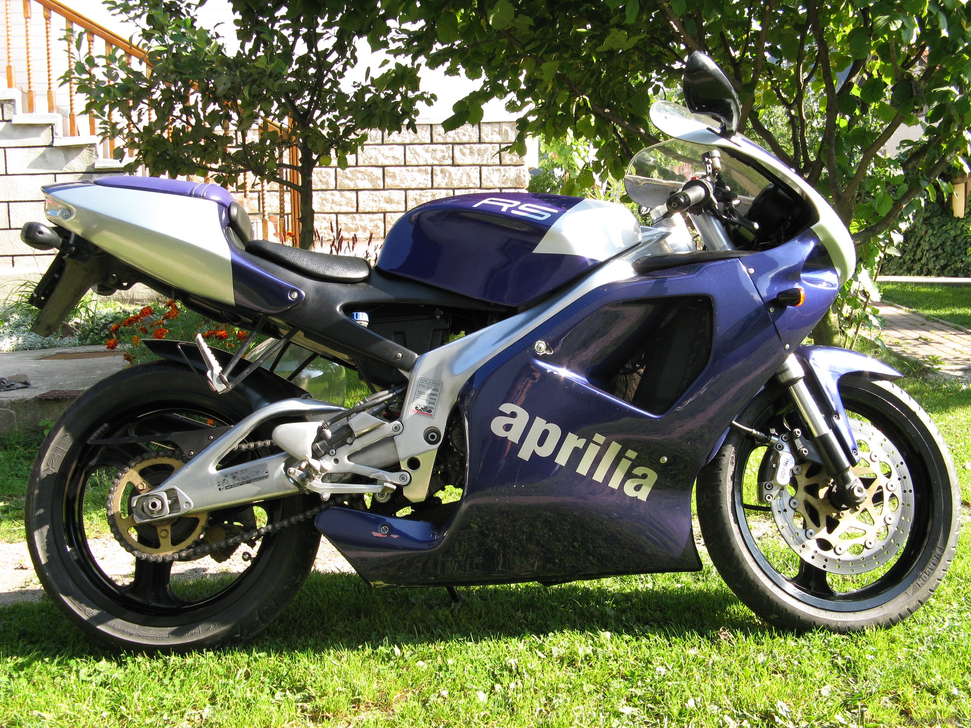 1997 APRILIA RS 125 | Picture 1863609 motorcycle photo