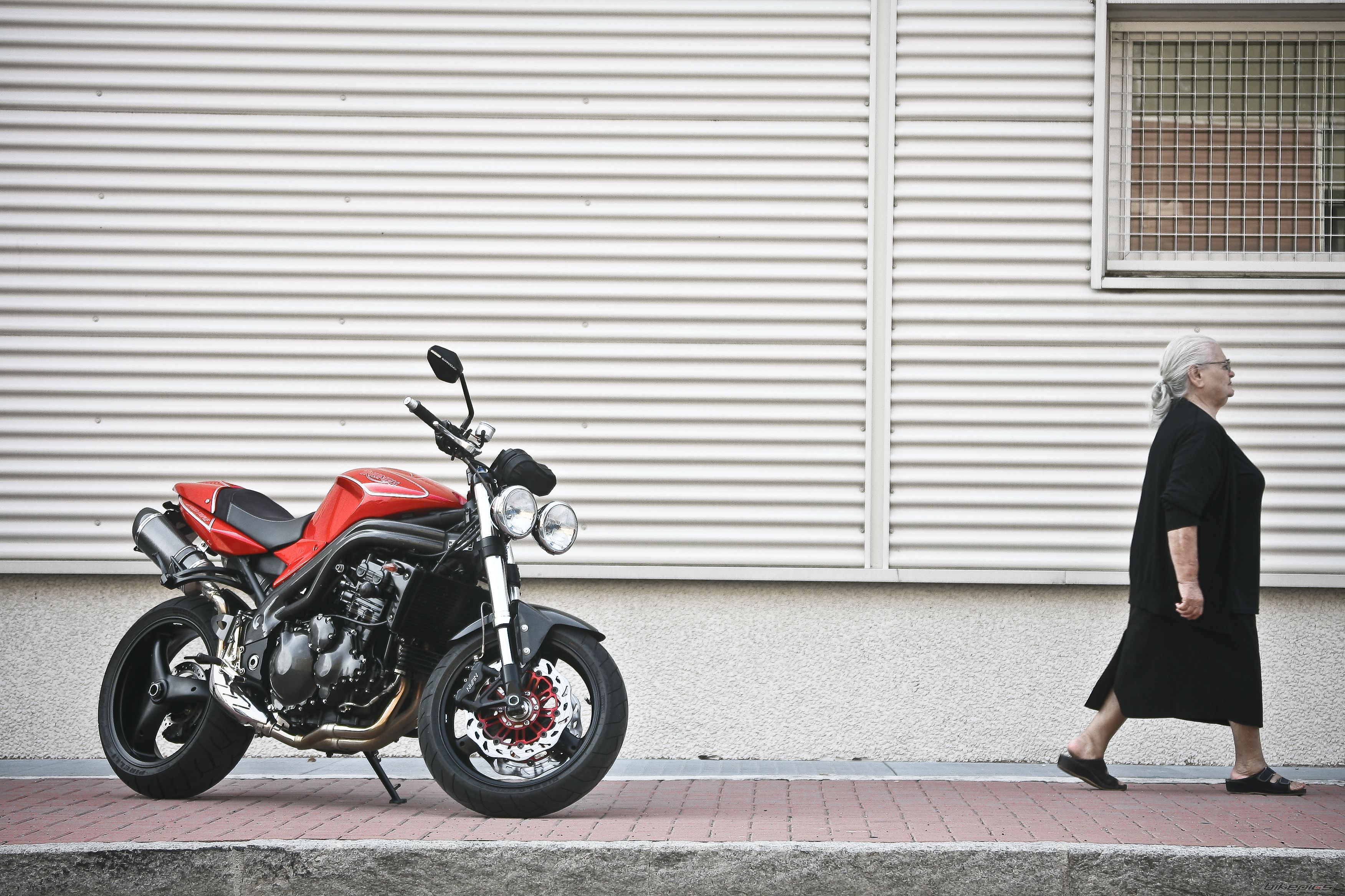 2004 TRIUMPH SPEED TRIPLE | Picture 1863635 motorcycle photo