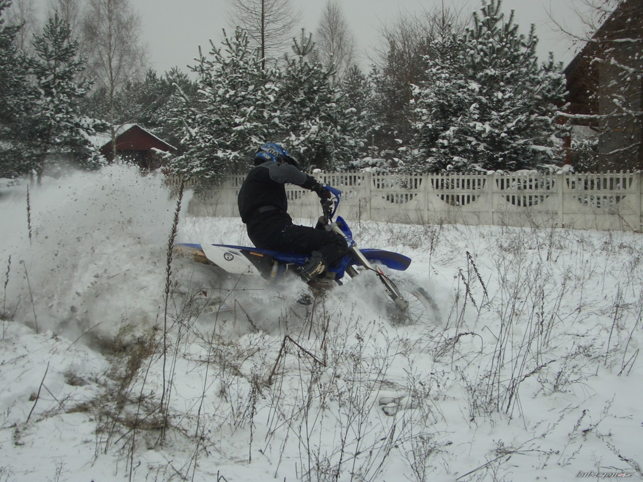 2003 YAMAHA WR 450F | Picture 1863730 motorcycle photo