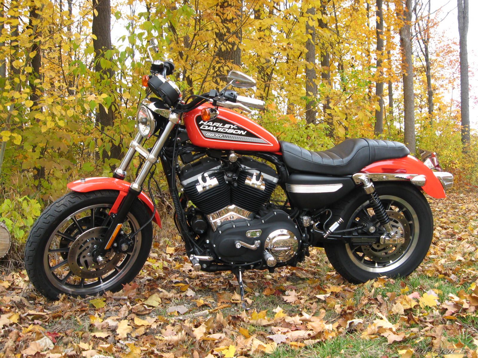 2006 HARLEY DAVIDSON 883R | Picture 1863839 motorcycle photo