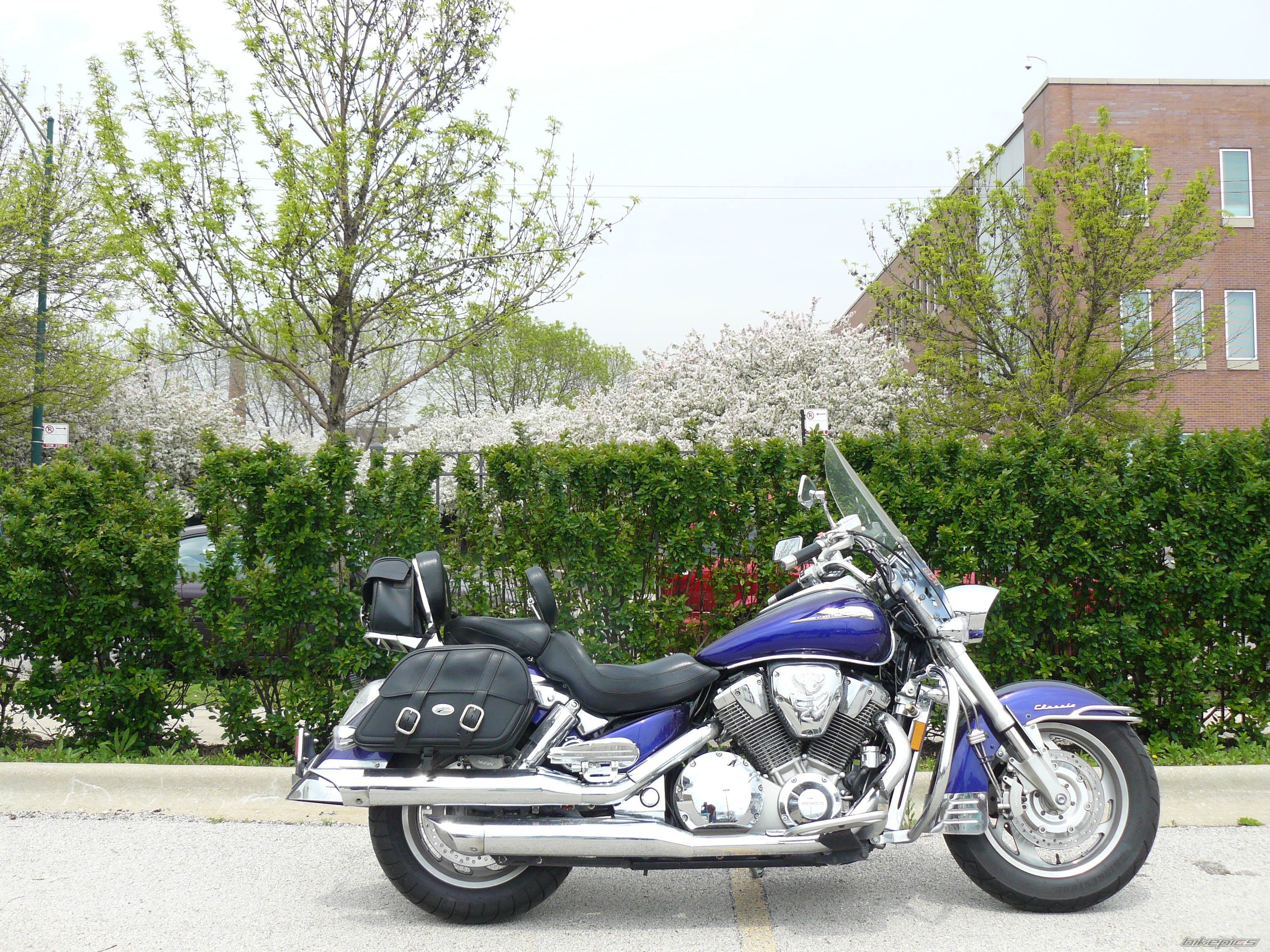 2003 HONDA VTX 1800 | Picture 1864029 motorcycle photo