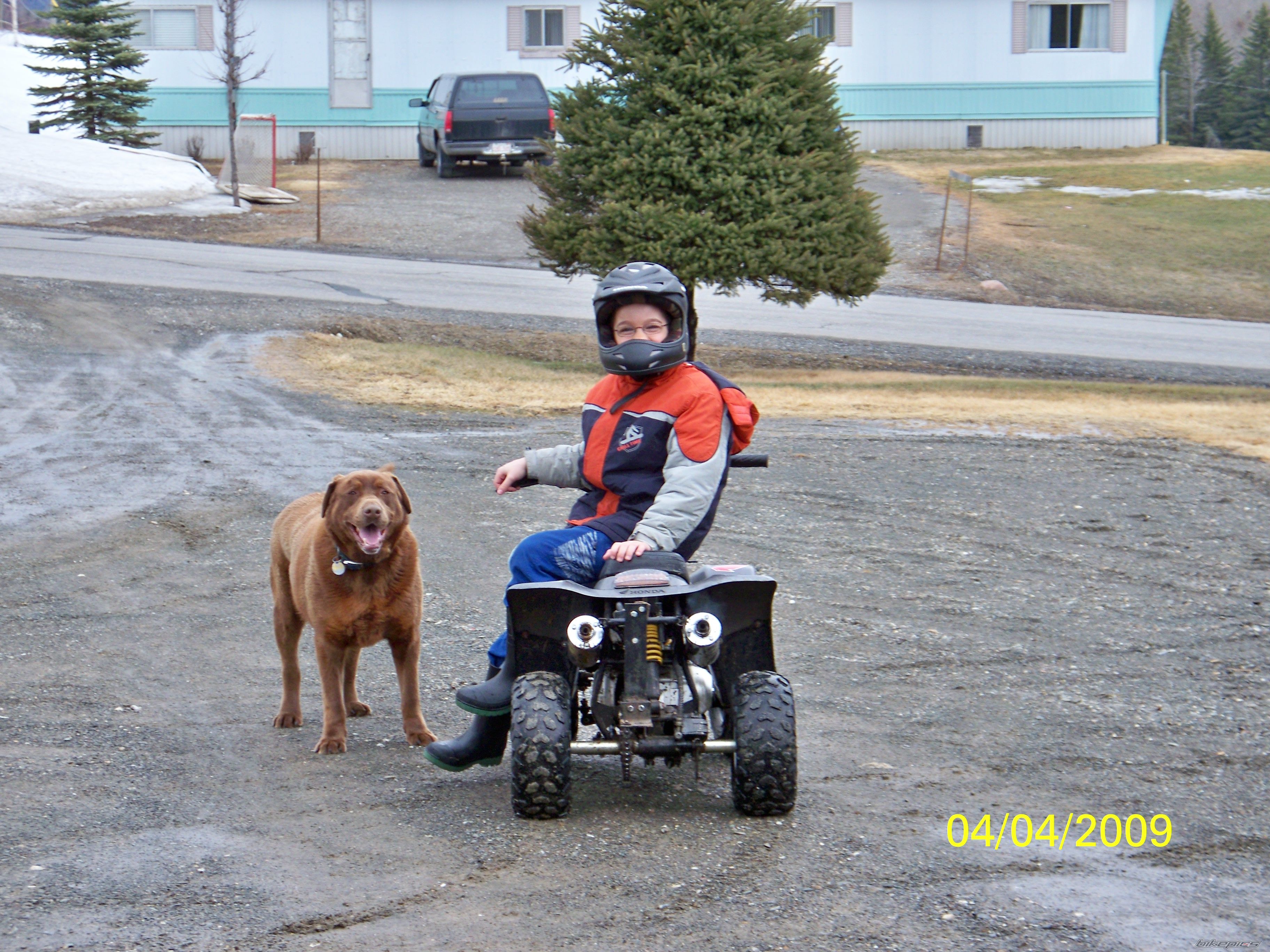 2001 YAMAHA KODIAK | Picture 1864062 motorcycle photo