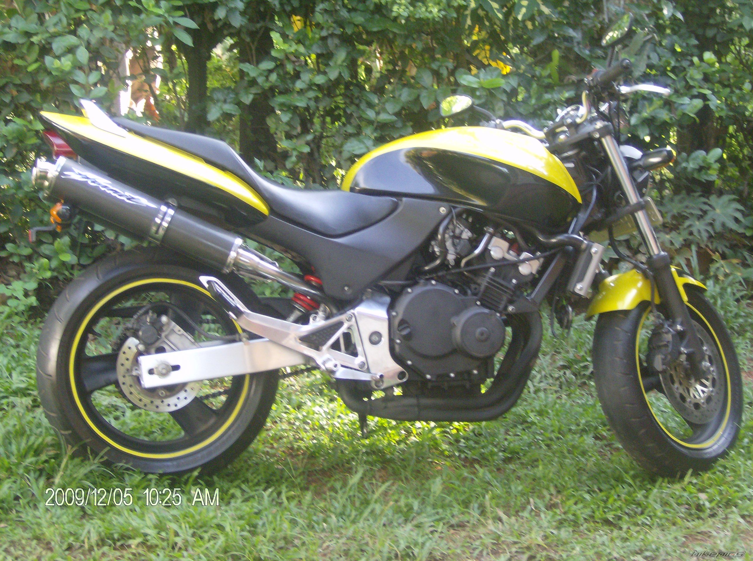 2006 HONDA CB 250 HORNET | Picture 1864187 motorcycle photo