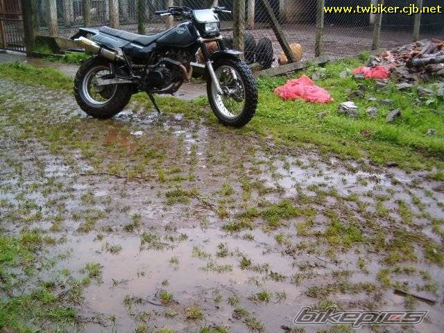 2000 YAMAHA TW 125 | Picture 186420 motorcycle photo
