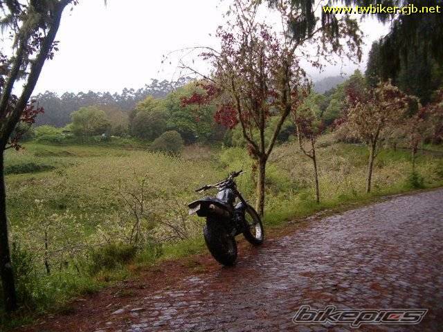 2000 YAMAHA TW 125 | Picture 186421 motorcycle photo