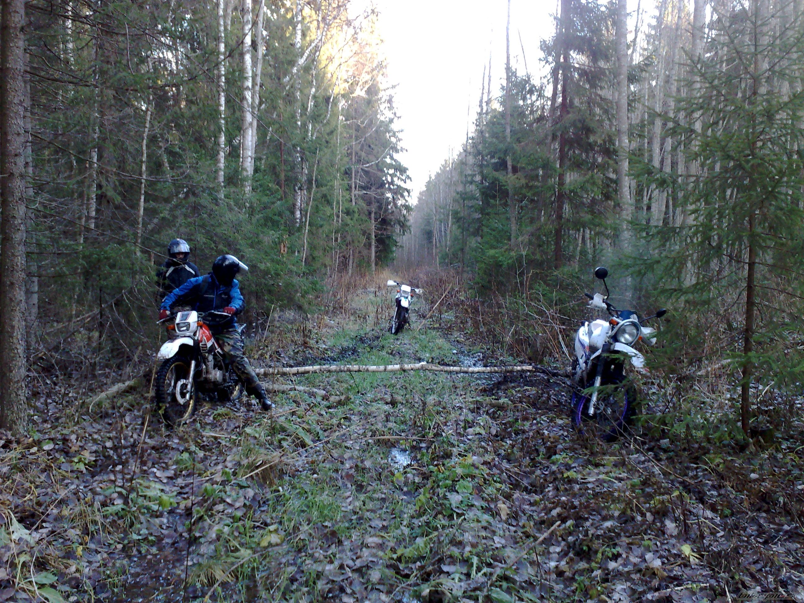 2000 YAMAHA XT 225 | Picture 1864321 motorcycle photo