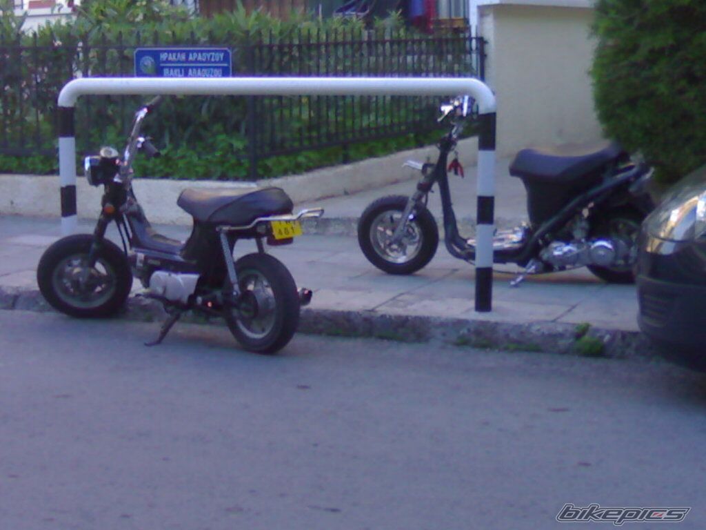 2010 HONDA CHALY | Picture 1864324 motorcycle photo