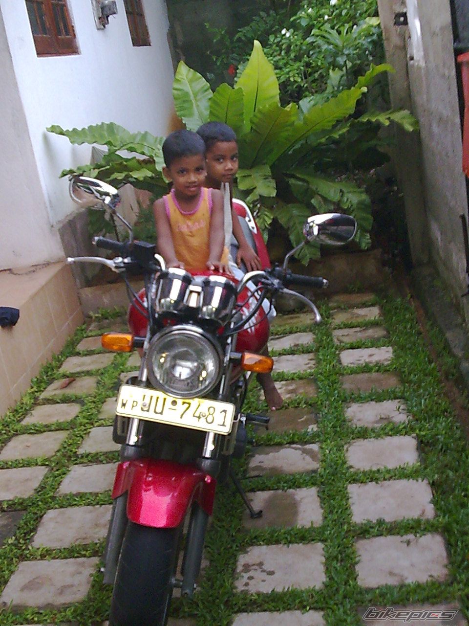 2002 HONDA CB 250 HORNET | Picture 1865015 motorcycle photo