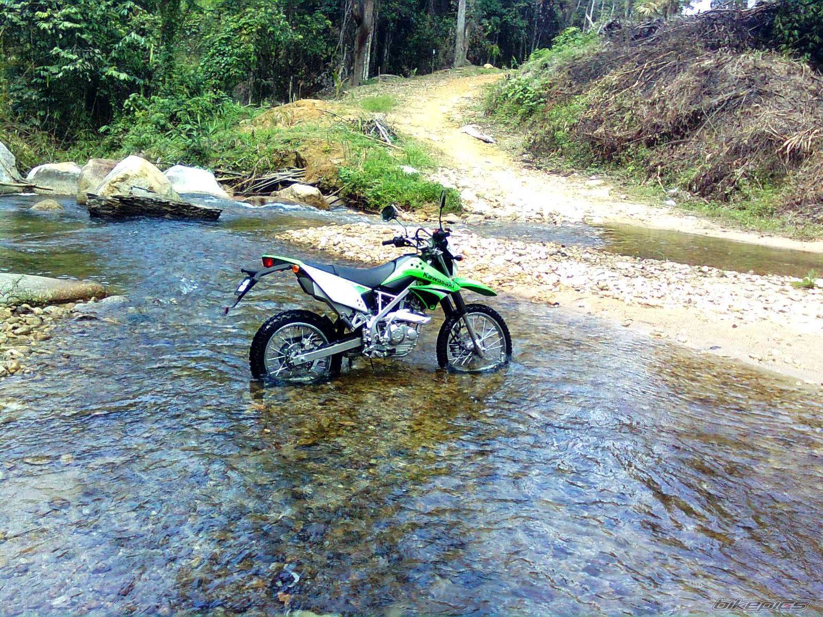 2009 KAWASAKI KLX 125 | Picture 1865351 motorcycle photo