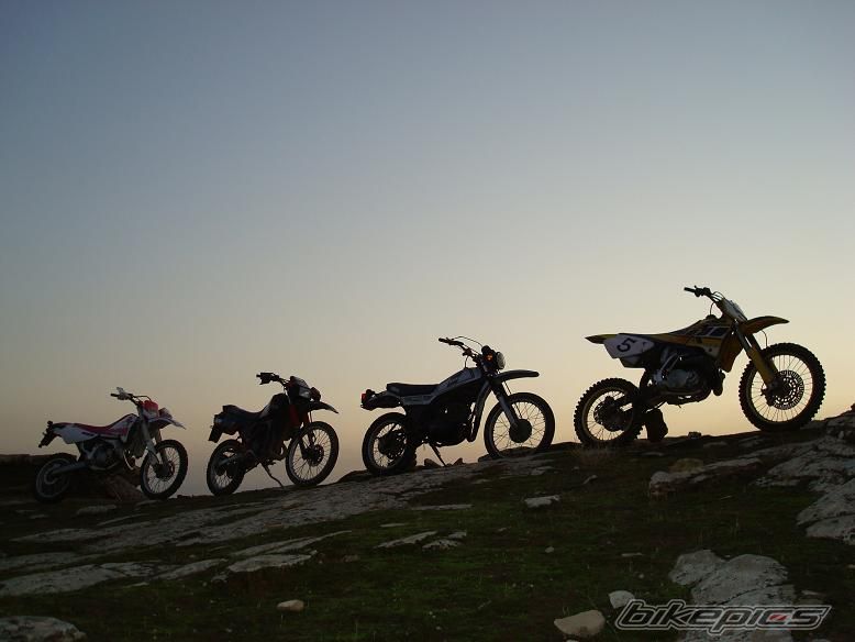 2010 YAMAHA YZ 250 | Picture 1866122 motorcycle photo