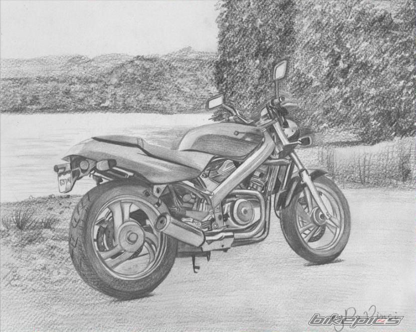 1988 HONDA NT 650 | Picture 1866376 motorcycle photo