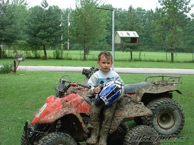 2001 POLARIS SCRAMBLER 50 | Picture 186671 motorcycle photo