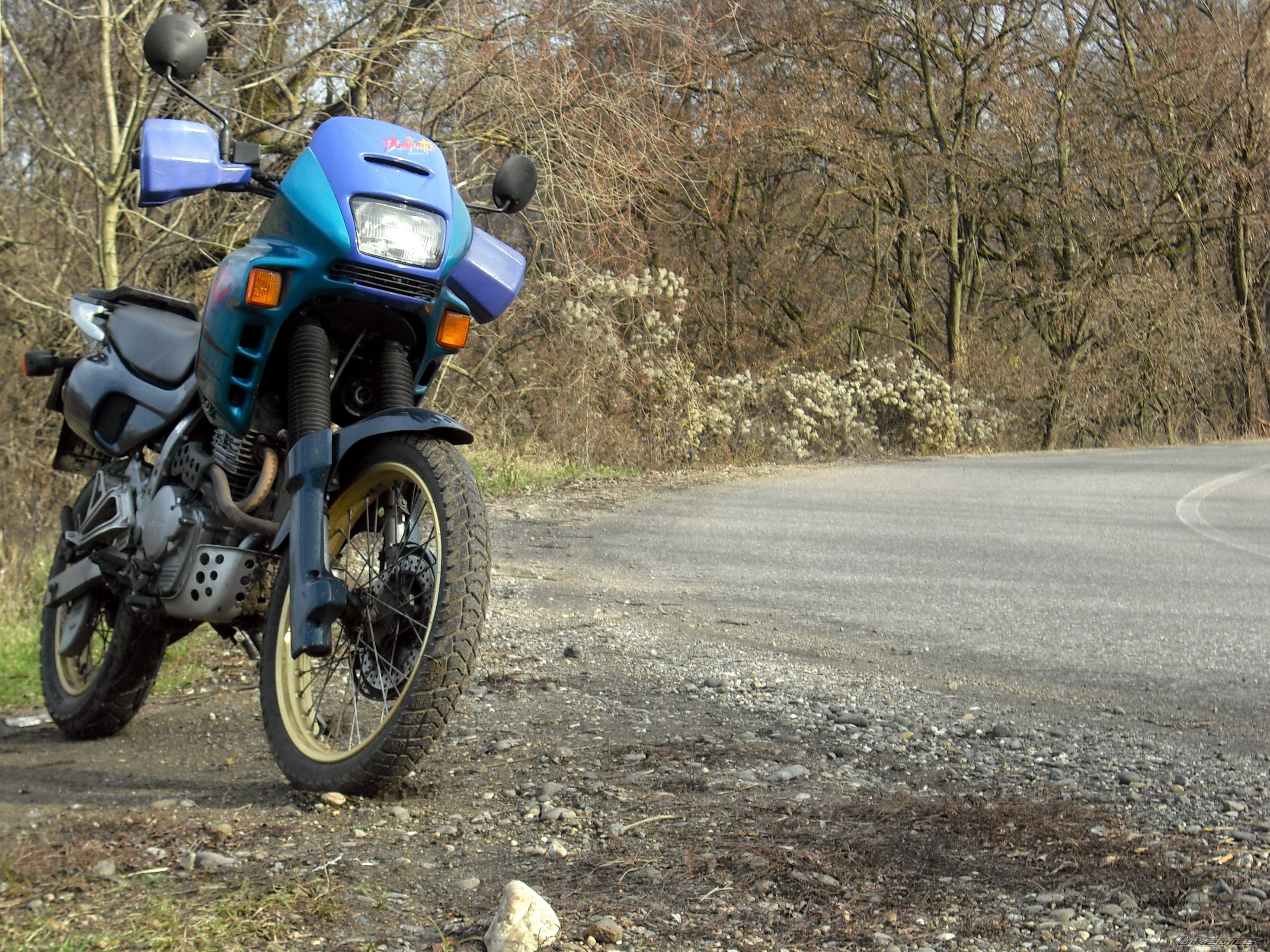 1996 HONDA NX 650 DOMINATOR | Picture 1867324 motorcycle photo