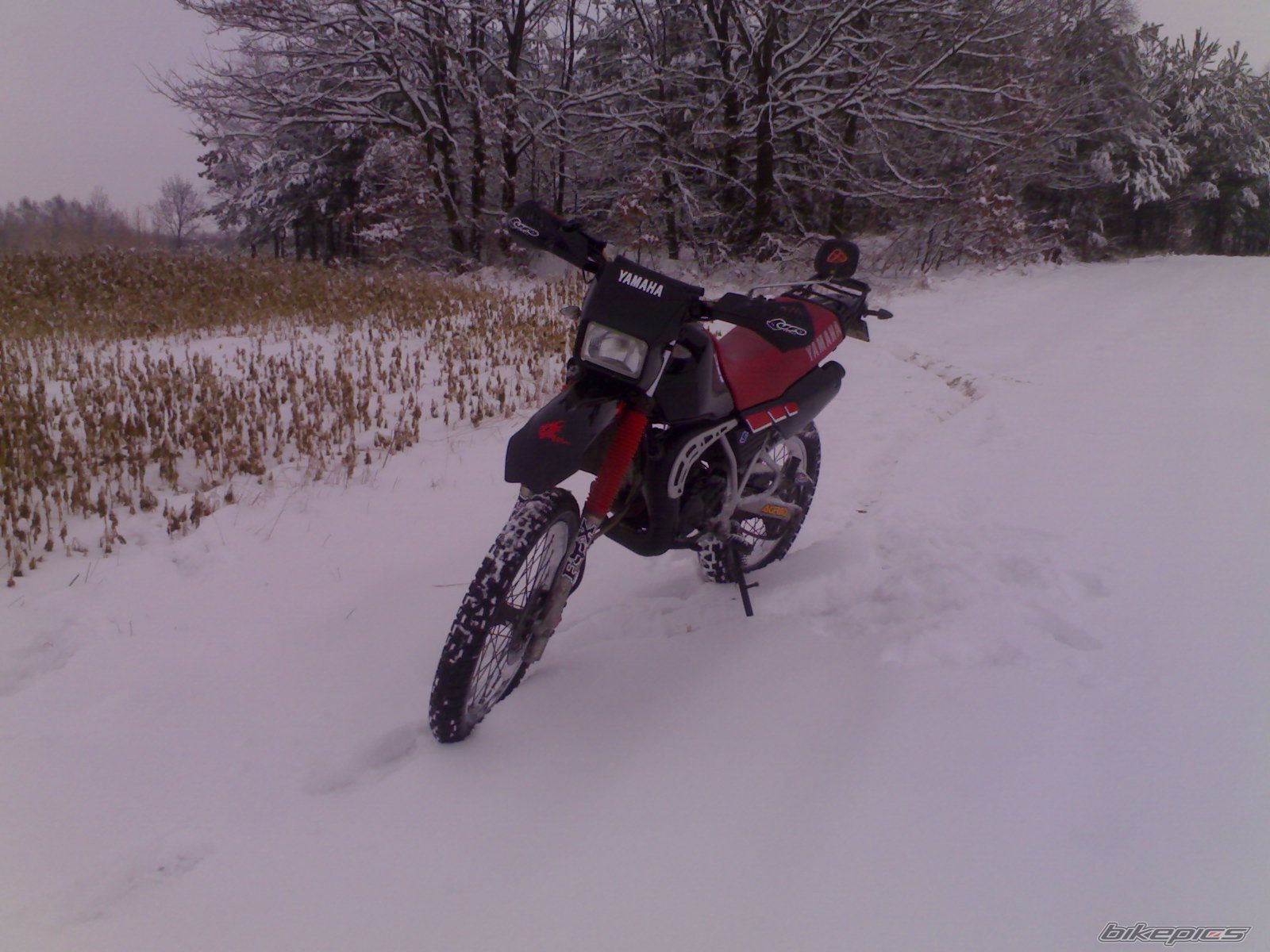2010 YAMAHA DT 80 | Picture 1867344 motorcycle photo
