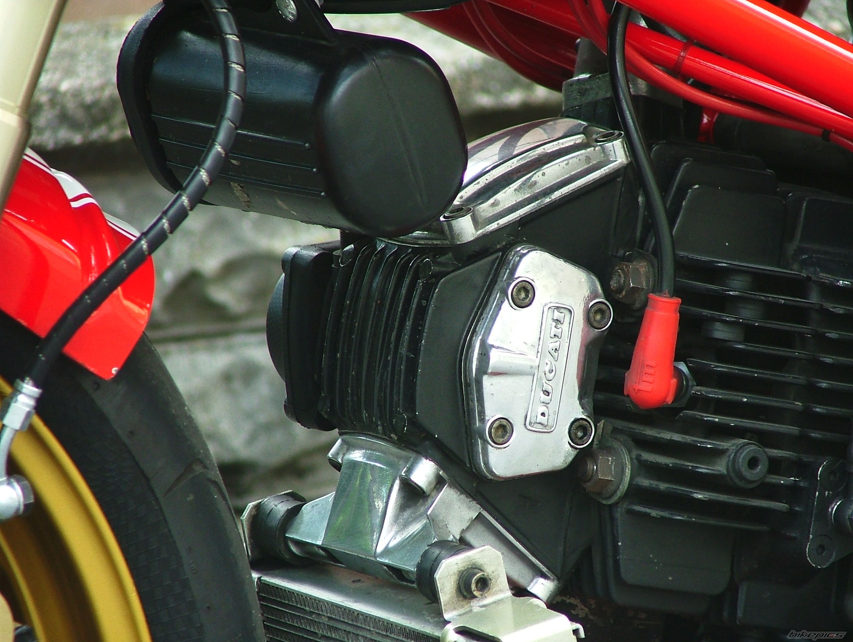1998 DUCATI 900 SS | Picture 1867372 motorcycle photo