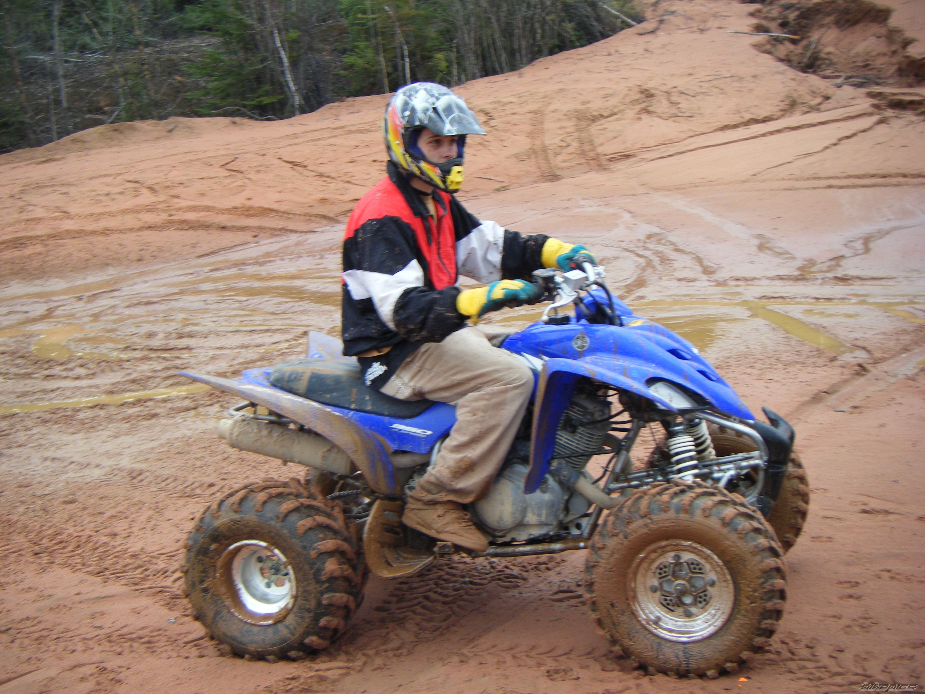 2005 YAMAHA RAPTOR 350 | Picture 1867722 motorcycle photo
