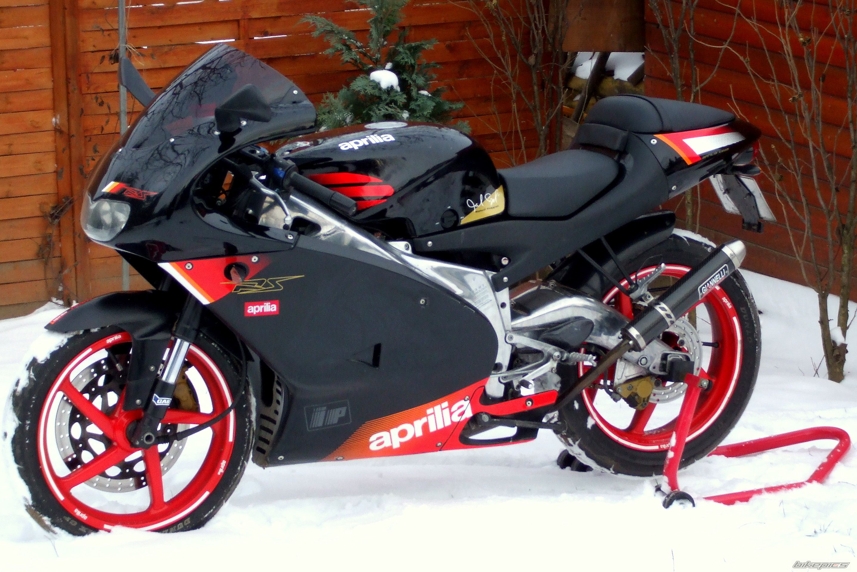 2004 APRILIA RS 125 | Picture 1868375 motorcycle photo