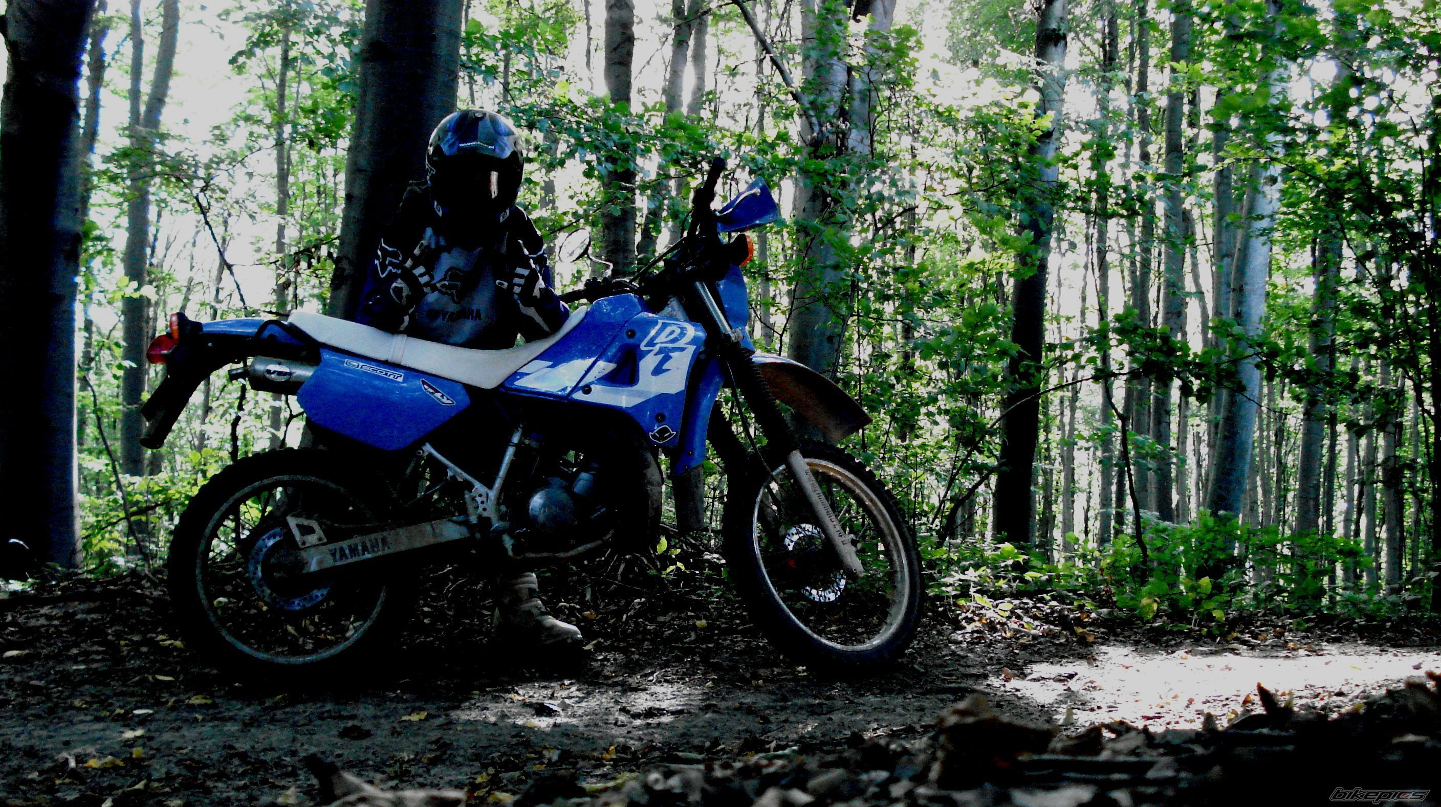 2000 YAMAHA DT 125 | Picture 1868381 motorcycle photo