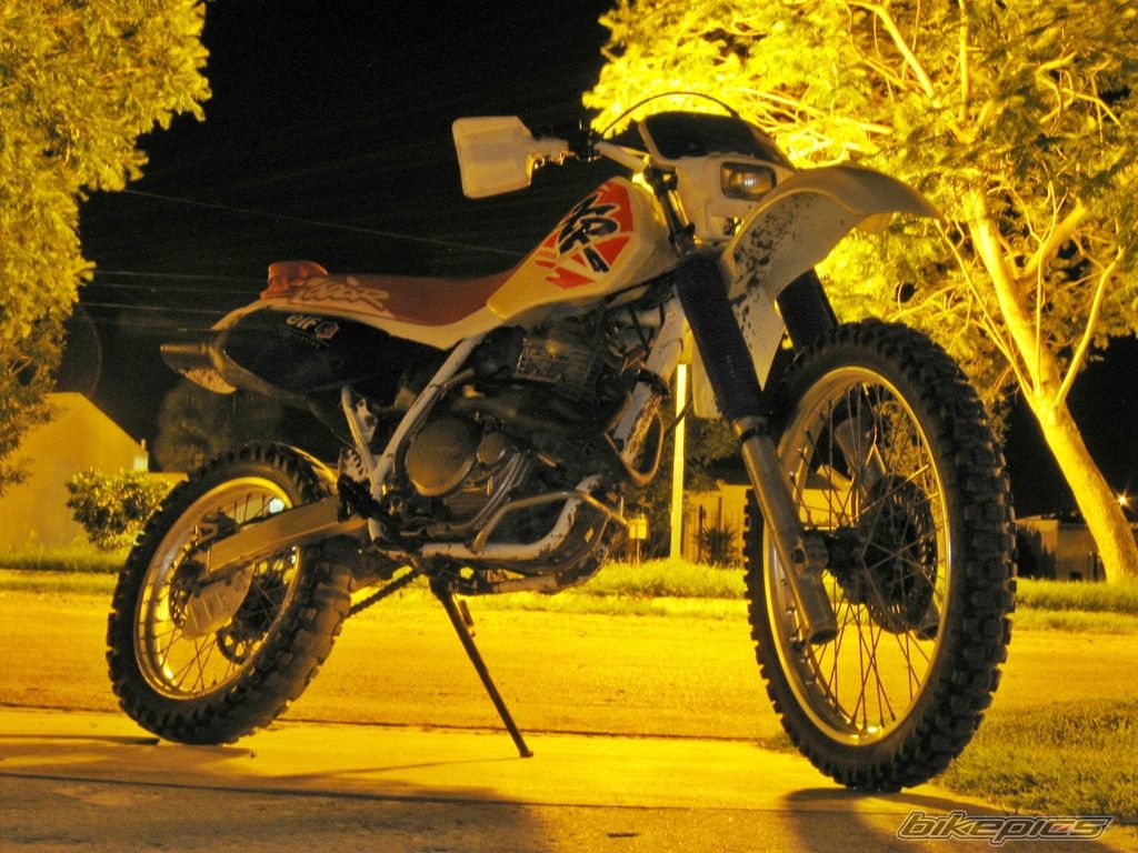 1994 HONDA XR 600 | Picture 1868990 motorcycle photo