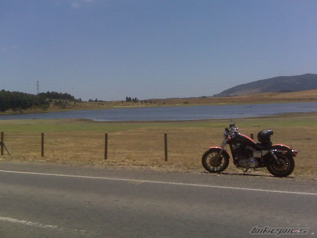 1997 HARLEY DAVIDSON XLH 883 | Picture 1869166 motorcycle photo